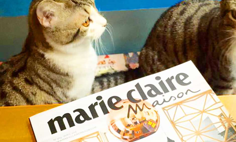 Marie Claire