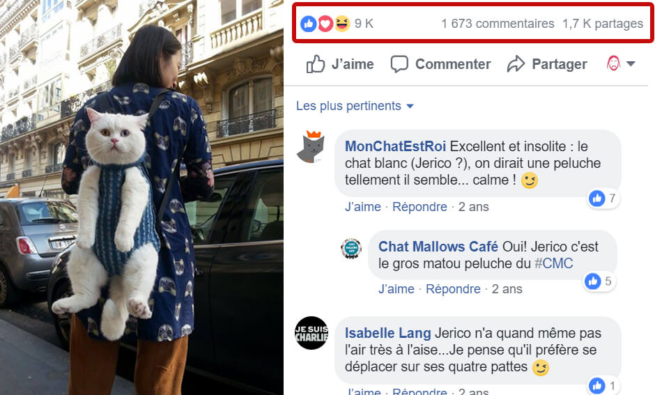 Community Management